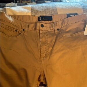 Gap Men's Tan Pants